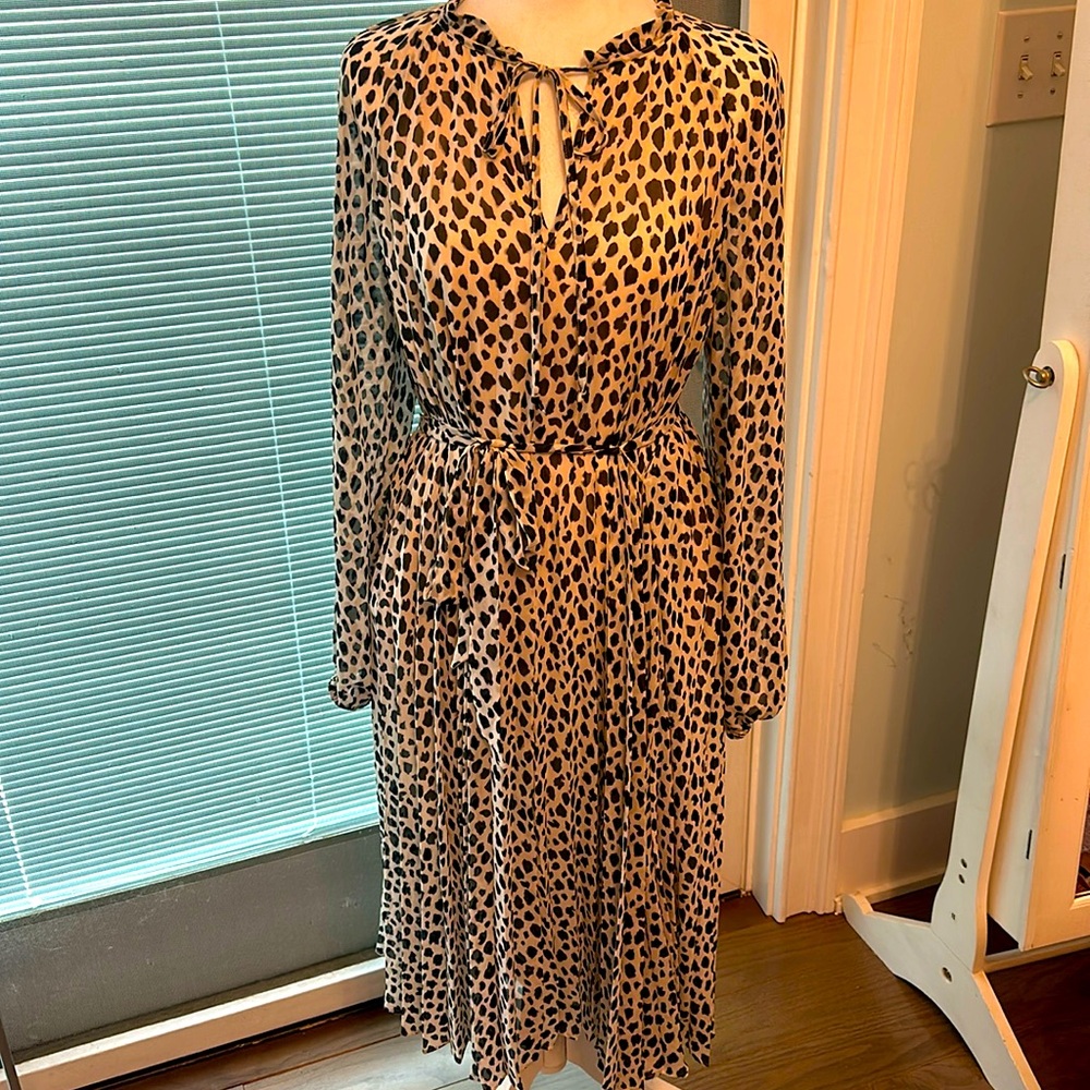 And Taylor size 10 cheetah print accordion dress